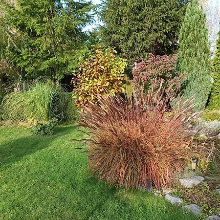 Pod Wierzba - Mieroszyno בית אירוח