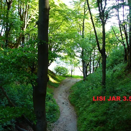 ホームステイ Pod Wierzba - Mieroszyno