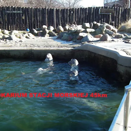 Pod Wierzba - Mieroszyno ホームステイ *