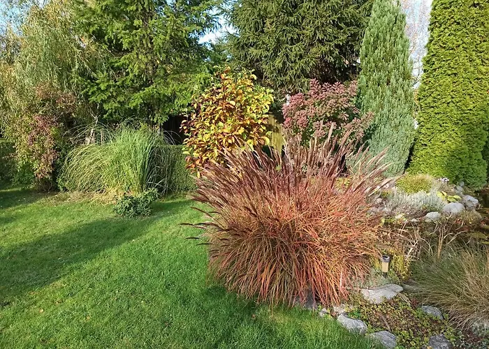 Pod Wierzba - Mieroszyno Alloggio in famiglia