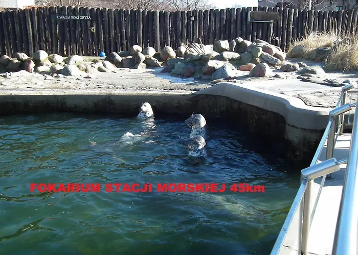 Pod Wierzba - Mieroszyno منزل للإقامة *